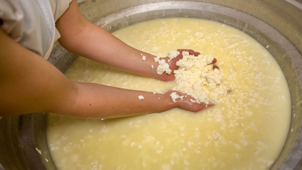 Sponge made from a cheesy waste product can help recover the gold from your dumped circuit boards